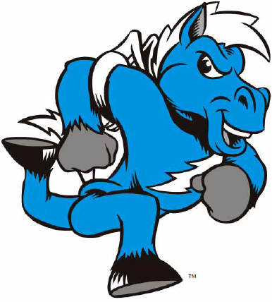 Middle Tennessee Blue Raiders 2000-Pres Mascot Logo iron on paper